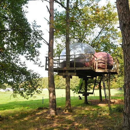 Sphair Perchée Glamping *
